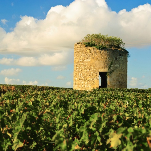 Spring_PR-vs-Bord-Part-1_05.30.14_Photo-2